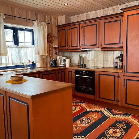 Family-friendly 2-bedroom With Terrace And Sauna Apartment Beitostolen
